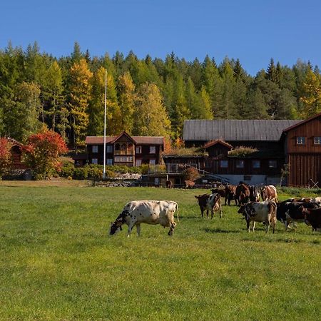 Romenstad Hytter Rendalen Exterior photo